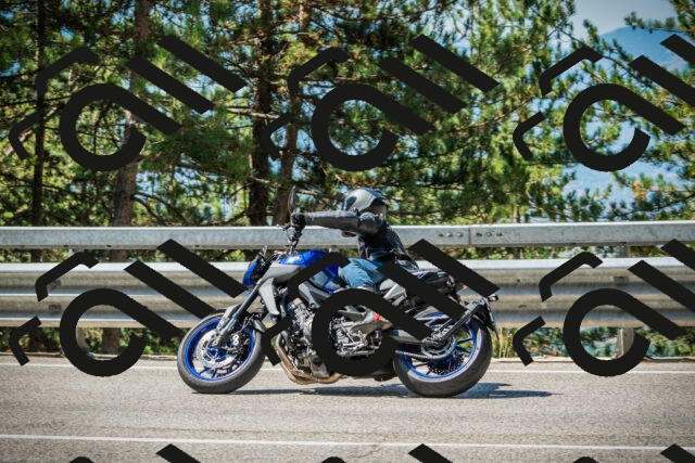 202508091106-DSC03686_c1_