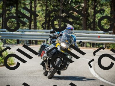 202508091106-DSC03688_c1_