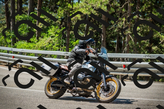 202508091106-DSC03691_c1_