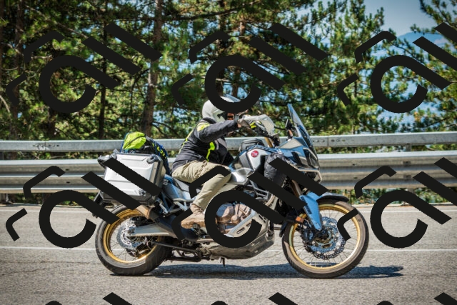 202508091106-DSC03693_c1_