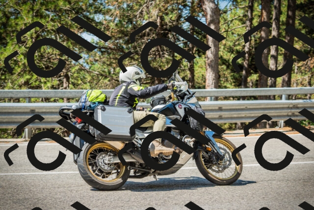 202508091106-DSC03694_c1_