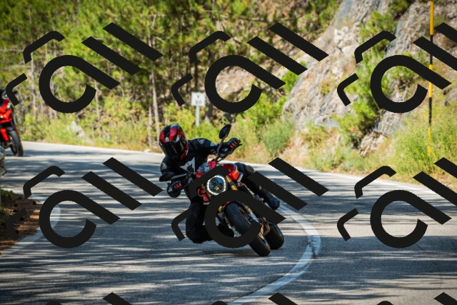 202508091107-DSC03695_c1_