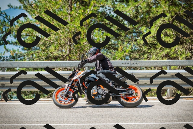 202508091110-DSC03711_c1_