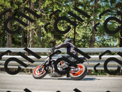 202508091110-DSC03712_c1_