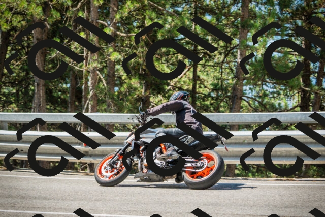 202508091110-DSC03712_c1_