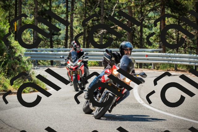 202508091110-DSC03715_c1_