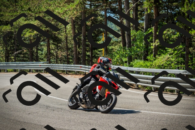 202508091110-DSC03717_c1_