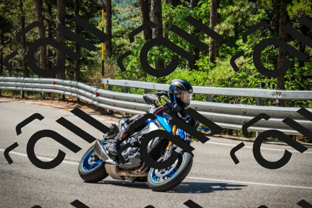 202508091110-DSC03721_c1_