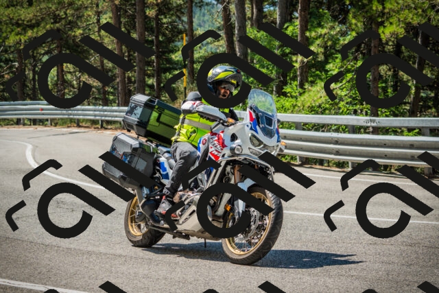 202508091110-DSC03726_c1_