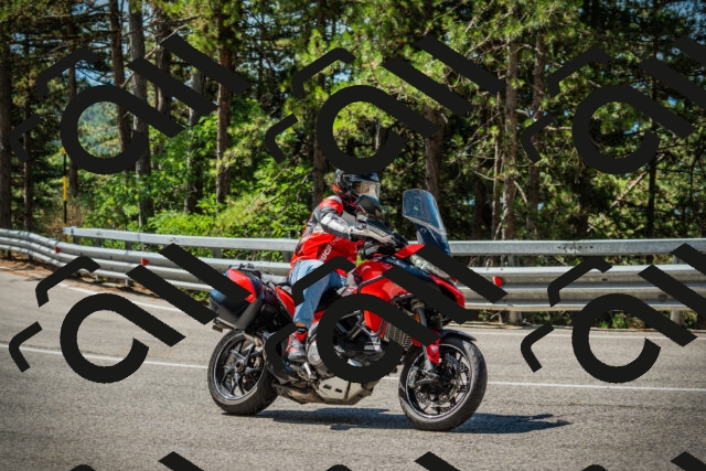 202508091110-DSC03728_c1_