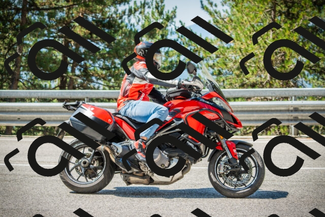 202508091110-DSC03729_c1_