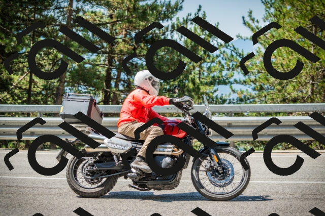 202508091110-DSC03731_c1_