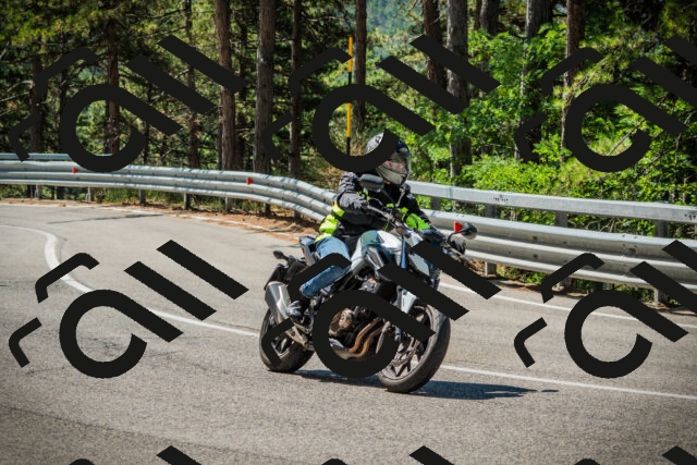 202508091110-DSC03732_c1_