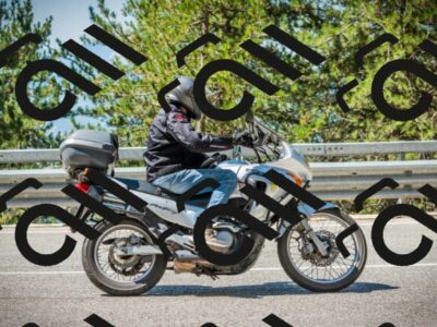 202508091110-DSC03735_c1_