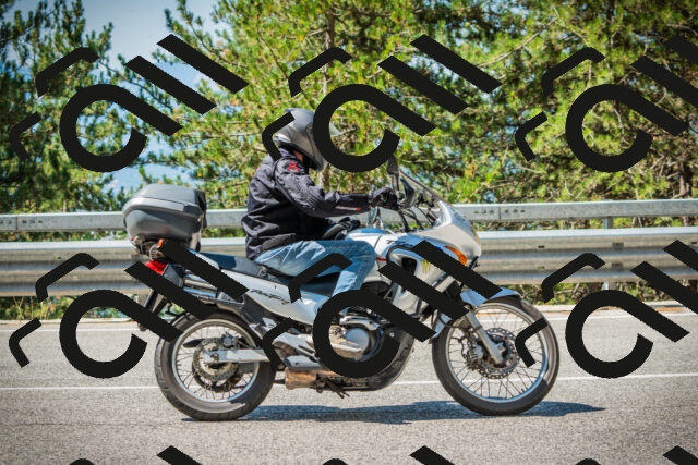 202508091110-DSC03735_c1_