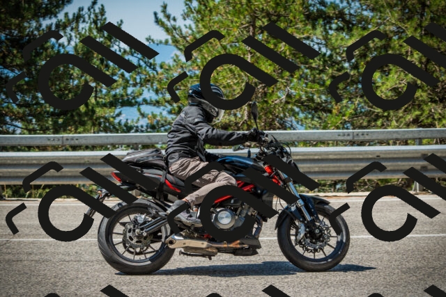 202508091110-DSC03736_c1_