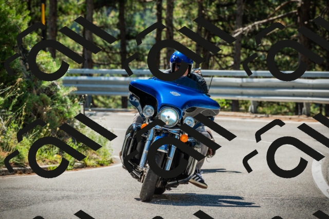 202508091111-DSC03738_c1_