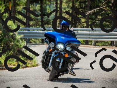 202508091111-DSC03738_c1_