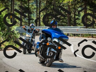 202508091111-DSC03739_c1_