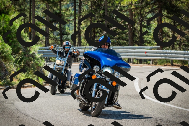 202508091111-DSC03739_c1_