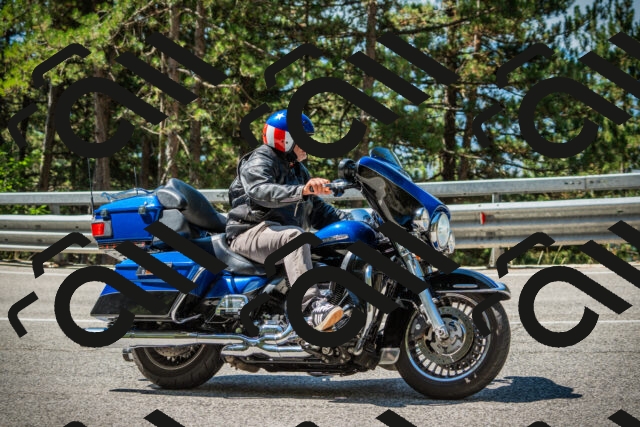 202508091111-DSC03741_c1_