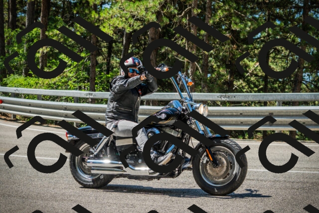 202508091111-DSC03742_c1_