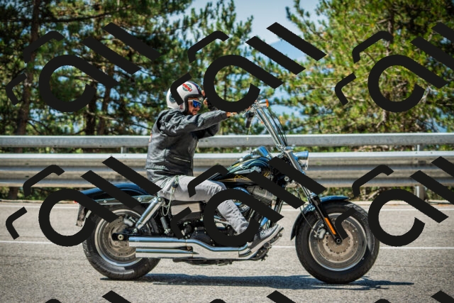 202508091111-DSC03743_c1_