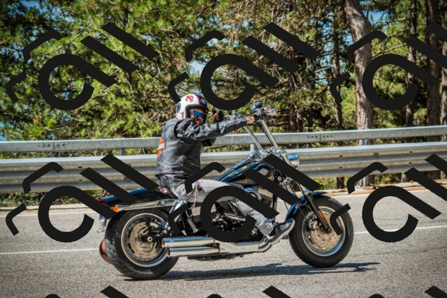 202508091111-DSC03744_c1_