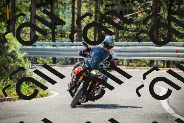 202508091113-DSC03745_c1_