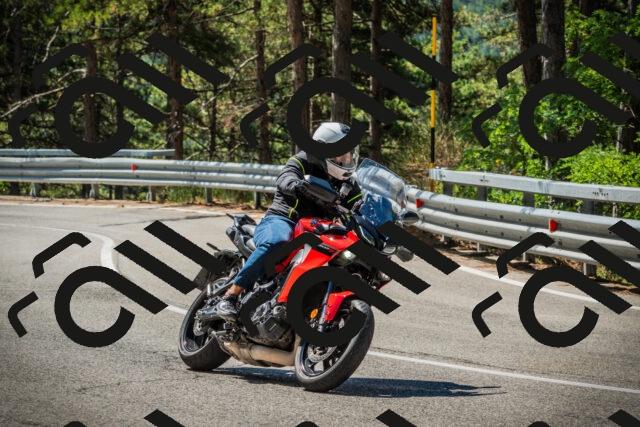 202508091114-DSC03753_c1_