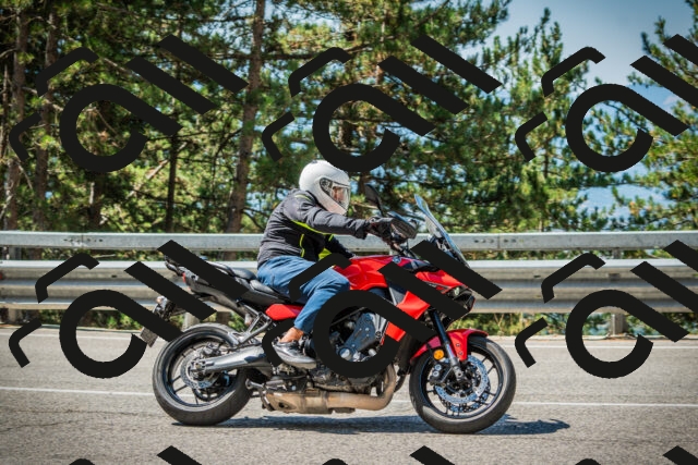 202508091114-DSC03754_c1_