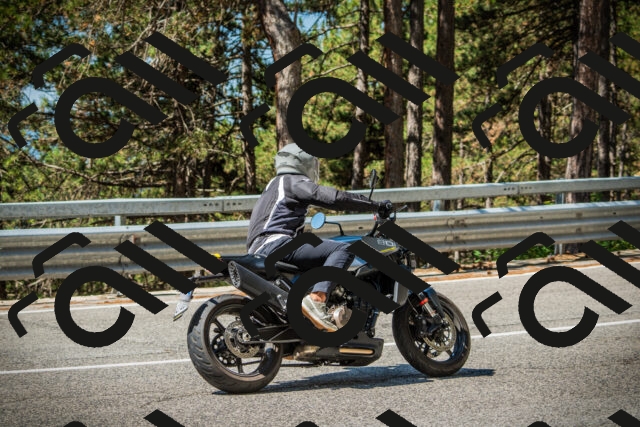 202508091114-DSC03759_c1_