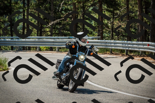 202508091115-DSC03762_c1_