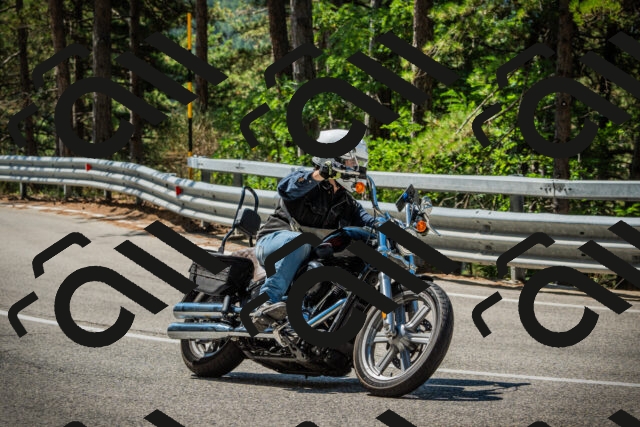 202508091115-DSC03763_c1_