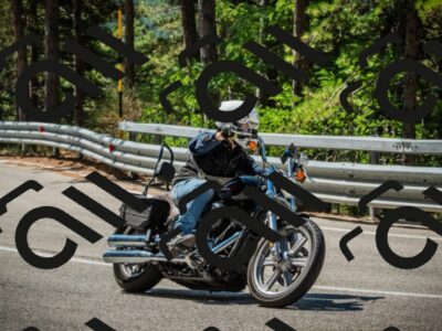 202508091115-DSC03763_c1_