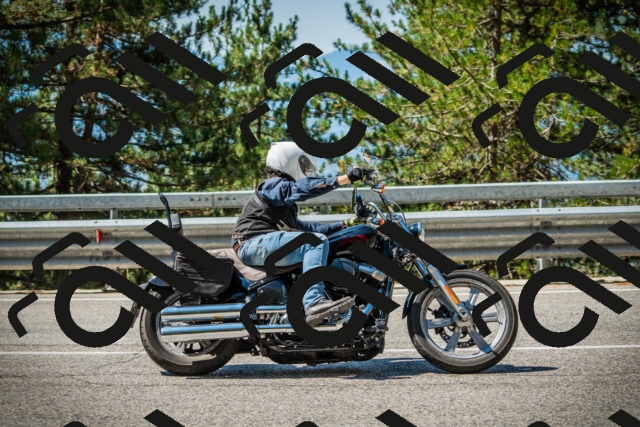 202508091115-DSC03764_c1_