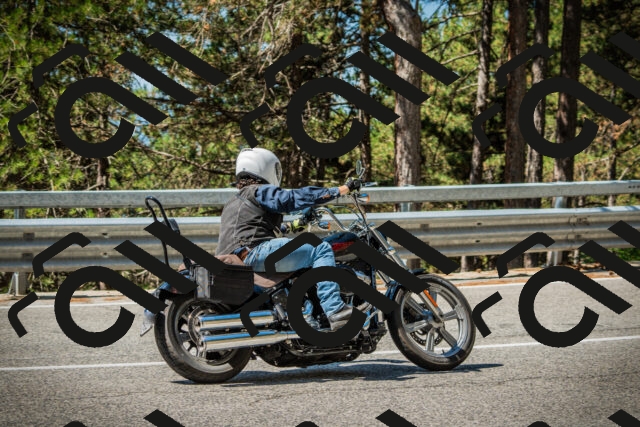 202508091115-DSC03765_c1_