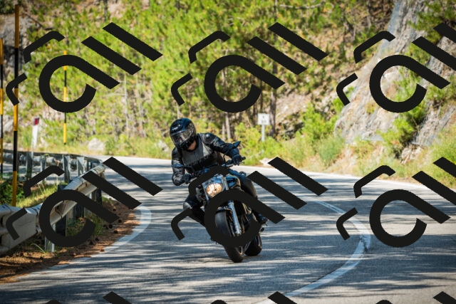 202508091115-DSC03766_c1_