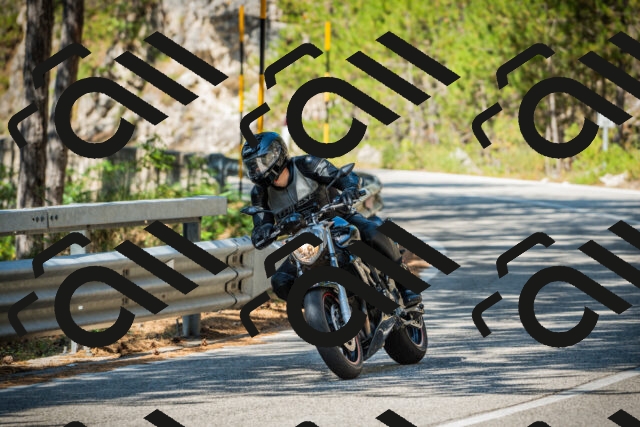 202508091115-DSC03767_c1_