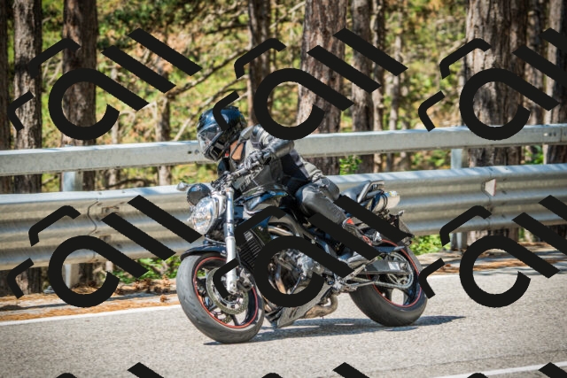 202508091115-DSC03768_c1_