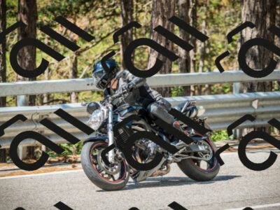 202508091115-DSC03768_c1_