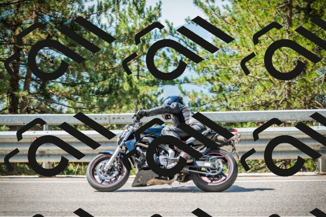 202508091115-DSC03769_c1_