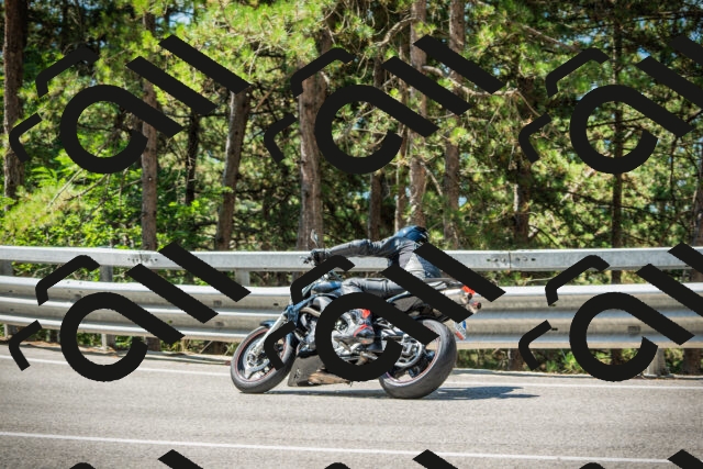 202508091116-DSC03770_c1_