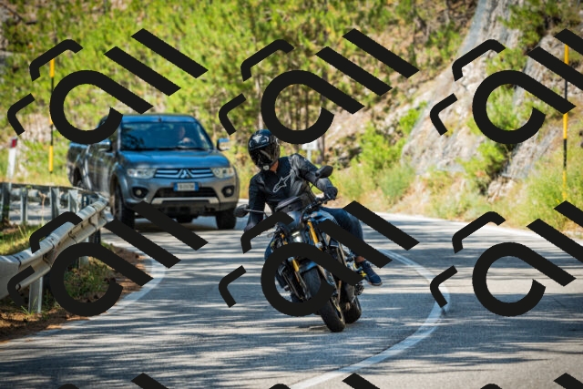 202508091116-DSC03771_c1_