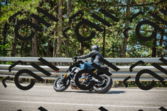 202508091116-DSC03775_c1_