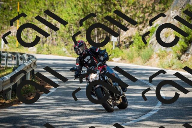 202508091117-DSC03776_c1_