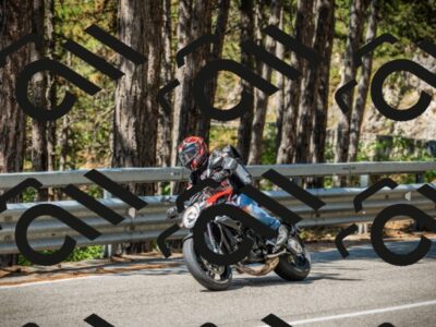 202508091117-DSC03777_c1_