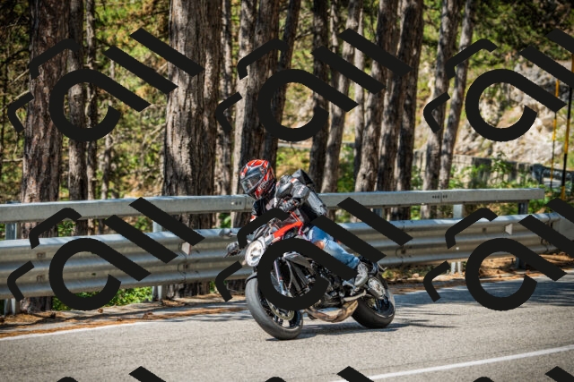 202508091117-DSC03777_c1_