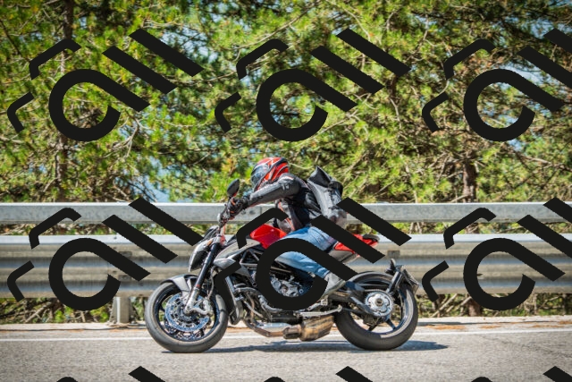 202508091117-DSC03778_c1_