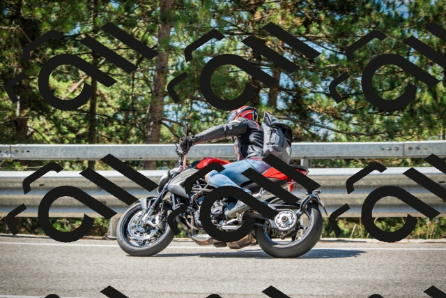 202508091117-DSC03779_c1_